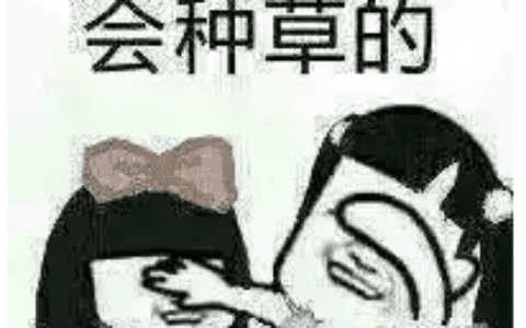 “种草”社区独角兽小红书的待解难题：流量多为他人做嫁、内容变质惹争议