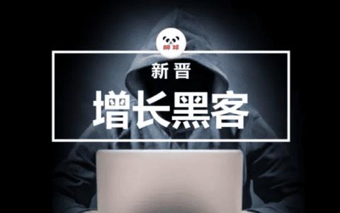 电商小程序：胖球，新晋“增长黑客”的天时地利人和