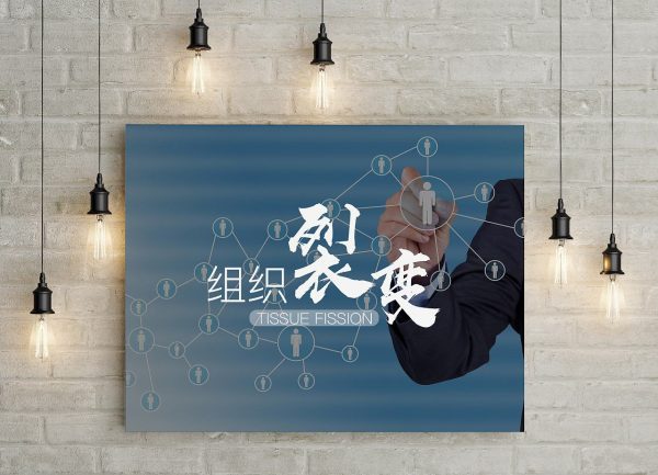 做完50个用户增长裂变的项目后，我们总结了40个坑点