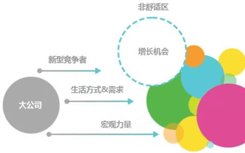 首席增长官抓住市场需求：在舒适区之外寻求增长