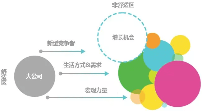首席增长官抓住市场需求：在舒适区之外寻求增长