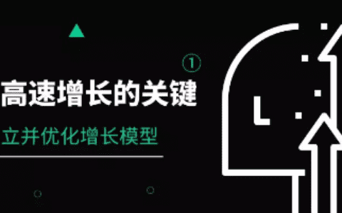 高速增长的关键：建立并优化增长模型